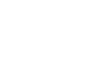 לוגו לבן עורך דין אושרי לנקרי